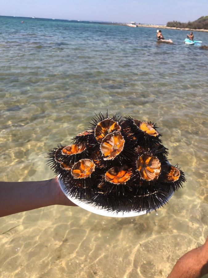 Salento Casa Vacanza Il Focolare Torchiarolo Ngoại thất bức ảnh